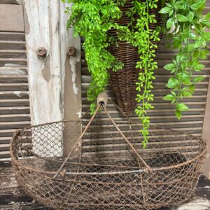 Fransk grøntsagskurv fil de fer FGFDF1