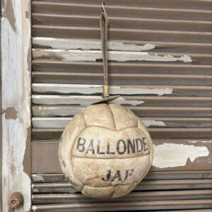 Fransk slyngbold BOLD1